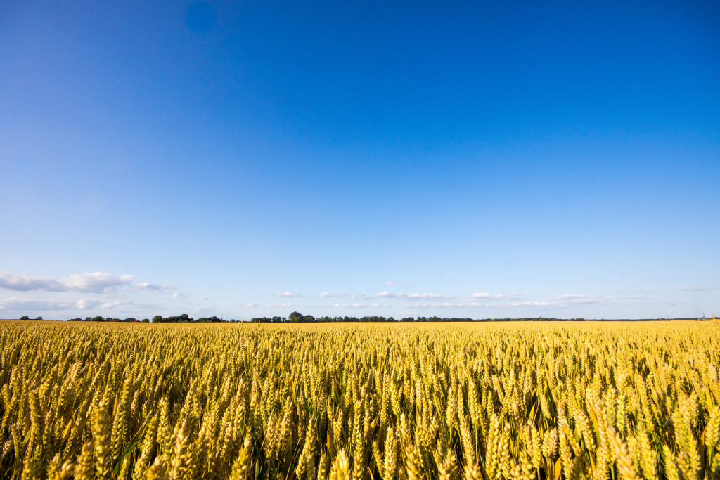 4 Landschaft