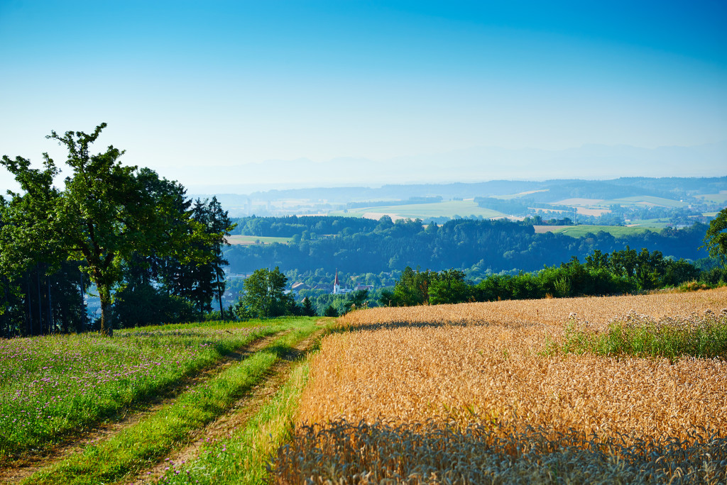 5 Landschaft